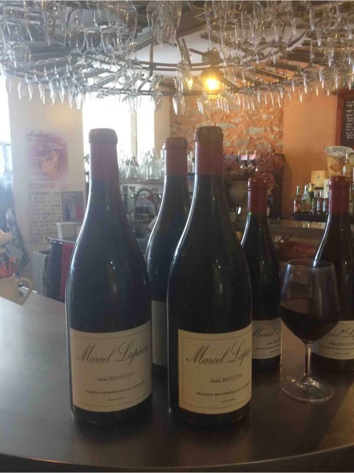 Morgon - Domaine Marcel Lapierre - Mathieu & Camille Lapierre 