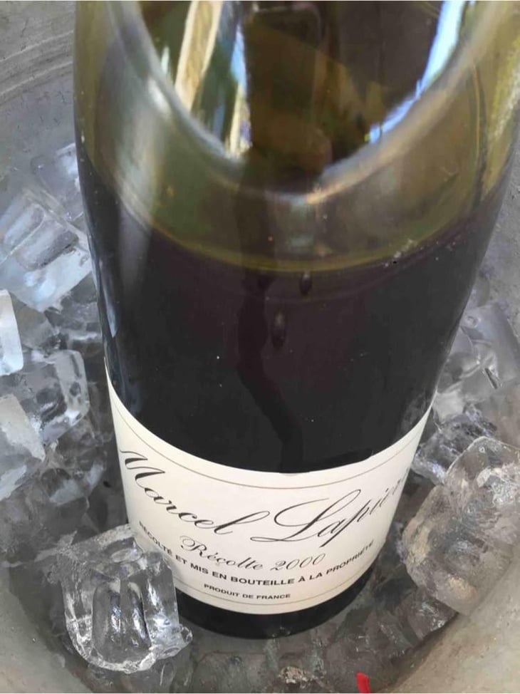 Morgon - Domaine Marcel Lapierre - Mathieu & Camille Lapierre 