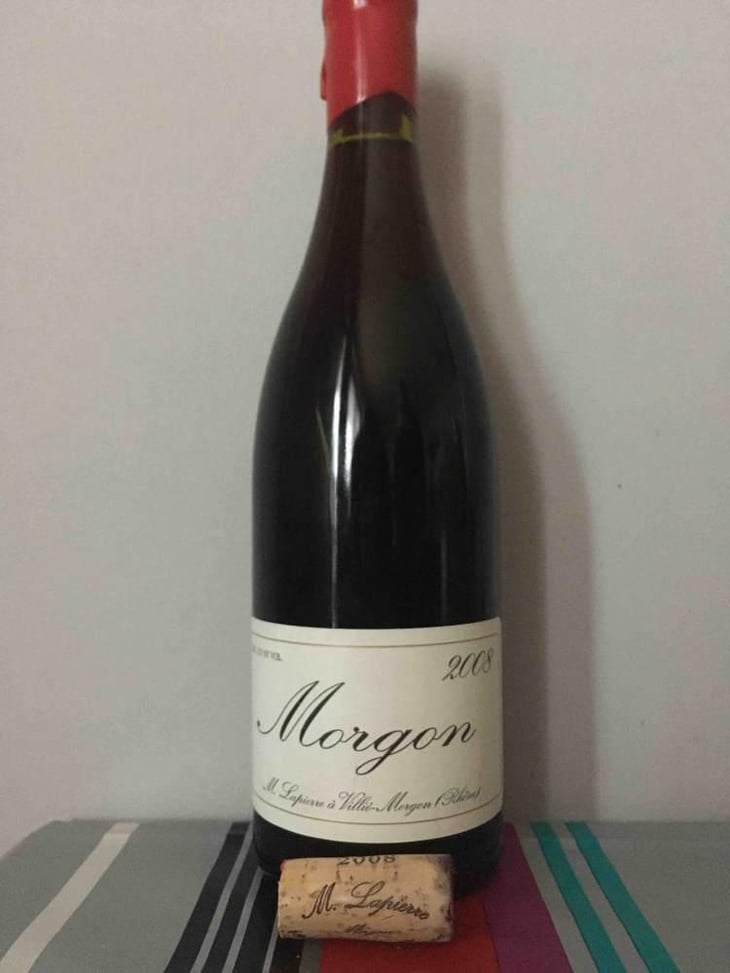 Morgon - Domaine Marcel Lapierre - Mathieu & Camille Lapierre 
