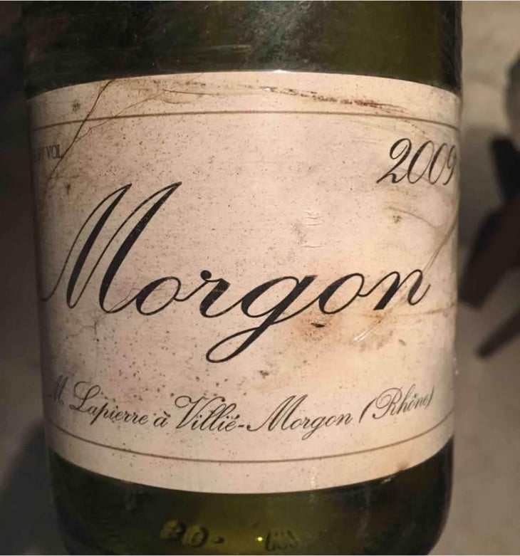 Morgon - Domaine Marcel Lapierre - Mathieu & Camille Lapierre 