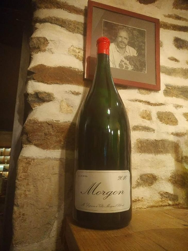 Morgon - Domaine Marcel Lapierre - Mathieu & Camille Lapierre 