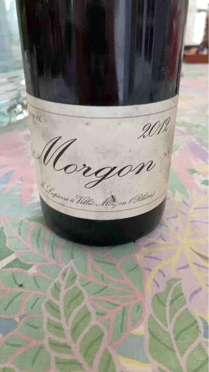 Morgon - Domaine Marcel Lapierre - Mathieu & Camille Lapierre 