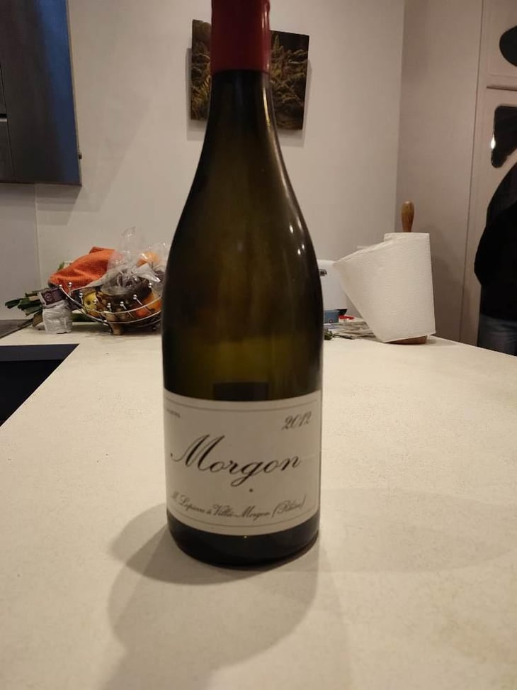 Morgon - Domaine Marcel Lapierre - Mathieu & Camille Lapierre 