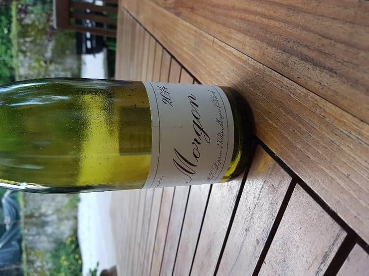 Morgon - Domaine Marcel Lapierre - Mathieu & Camille Lapierre 