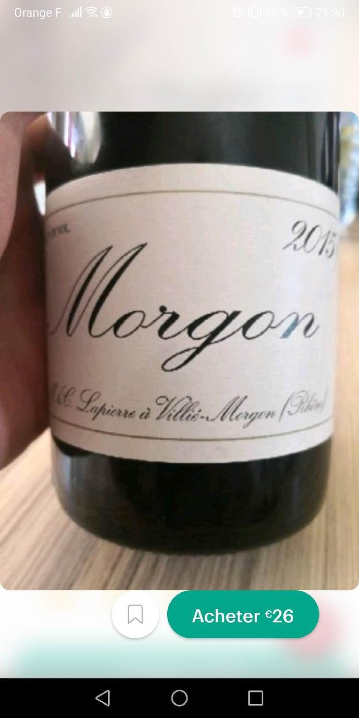 Morgon - Domaine Marcel Lapierre - Mathieu & Camille Lapierre 