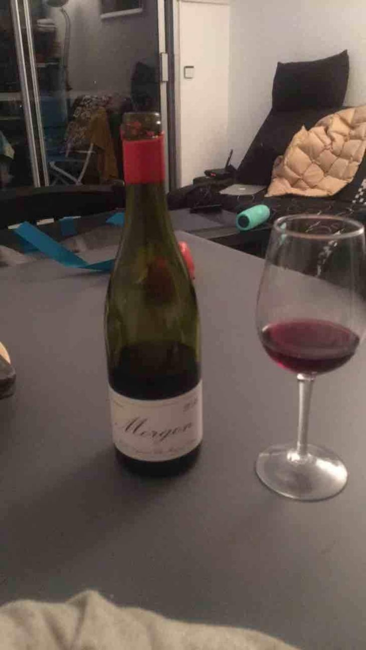 Morgon - Domaine Marcel Lapierre - Mathieu & Camille Lapierre 