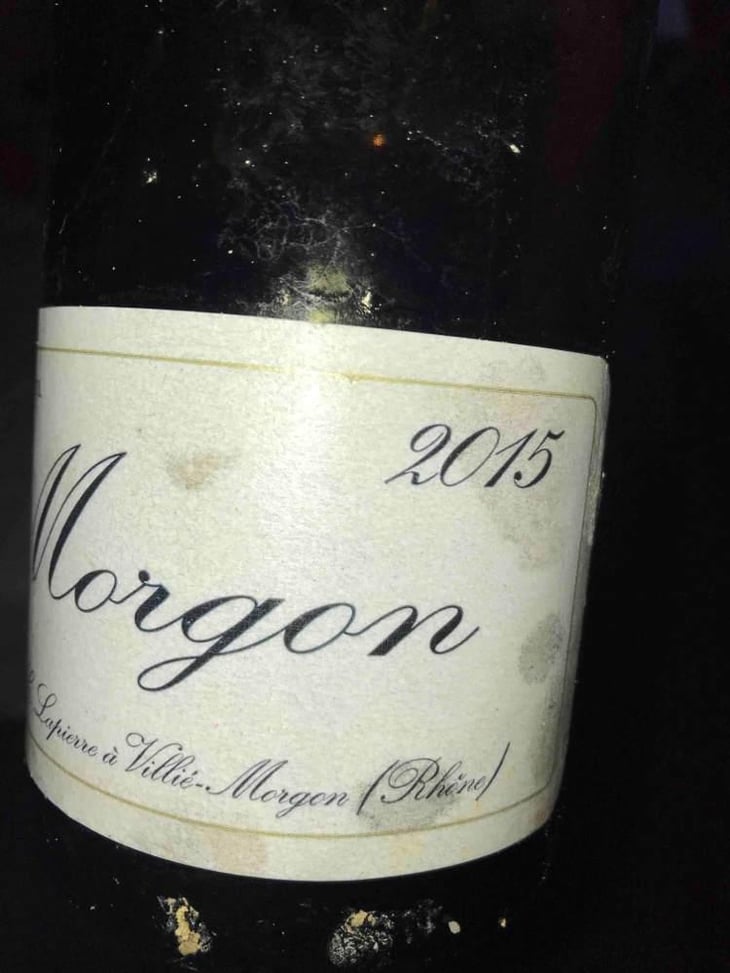 Morgon - Domaine Marcel Lapierre - Mathieu & Camille Lapierre 