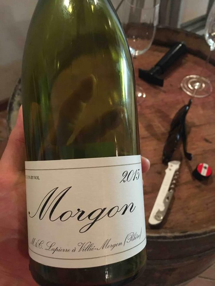 Morgon - Domaine Marcel Lapierre - Mathieu & Camille Lapierre 