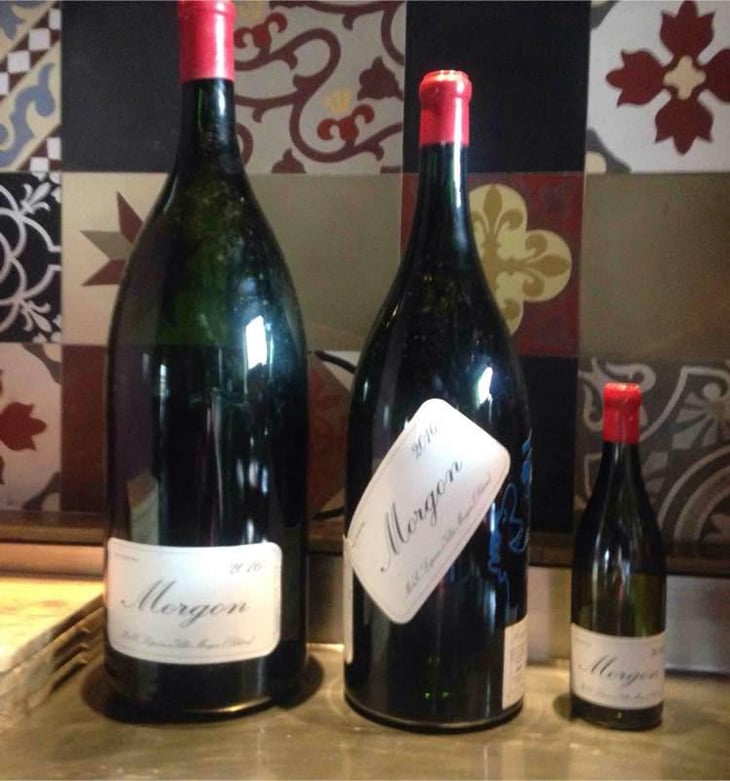 Morgon - Domaine Marcel Lapierre - Mathieu & Camille Lapierre 