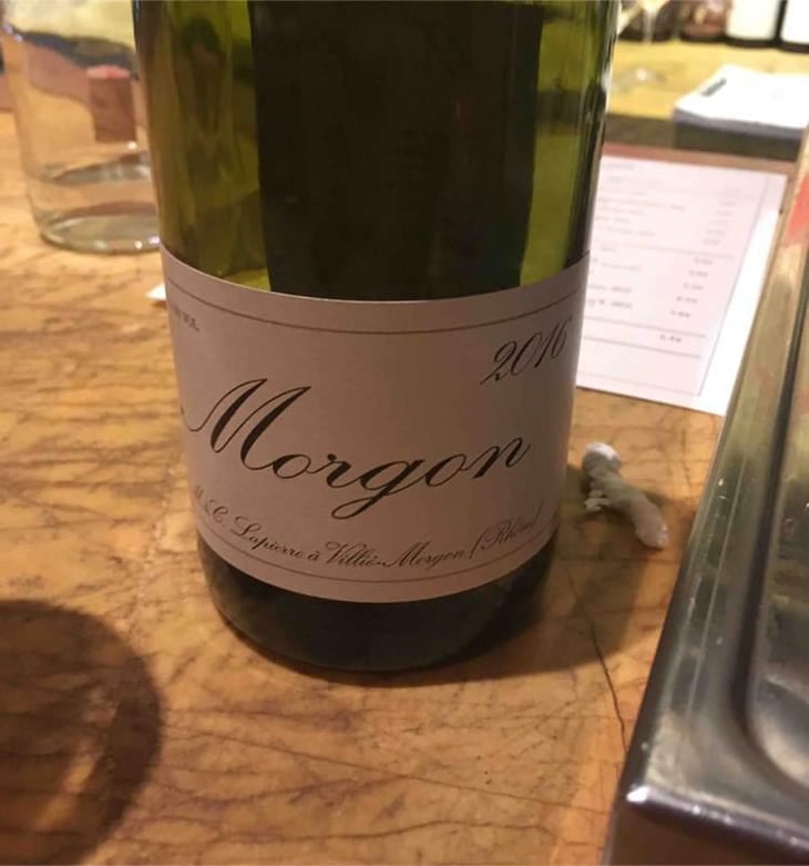 Morgon - Domaine Marcel Lapierre - Mathieu & Camille Lapierre 
