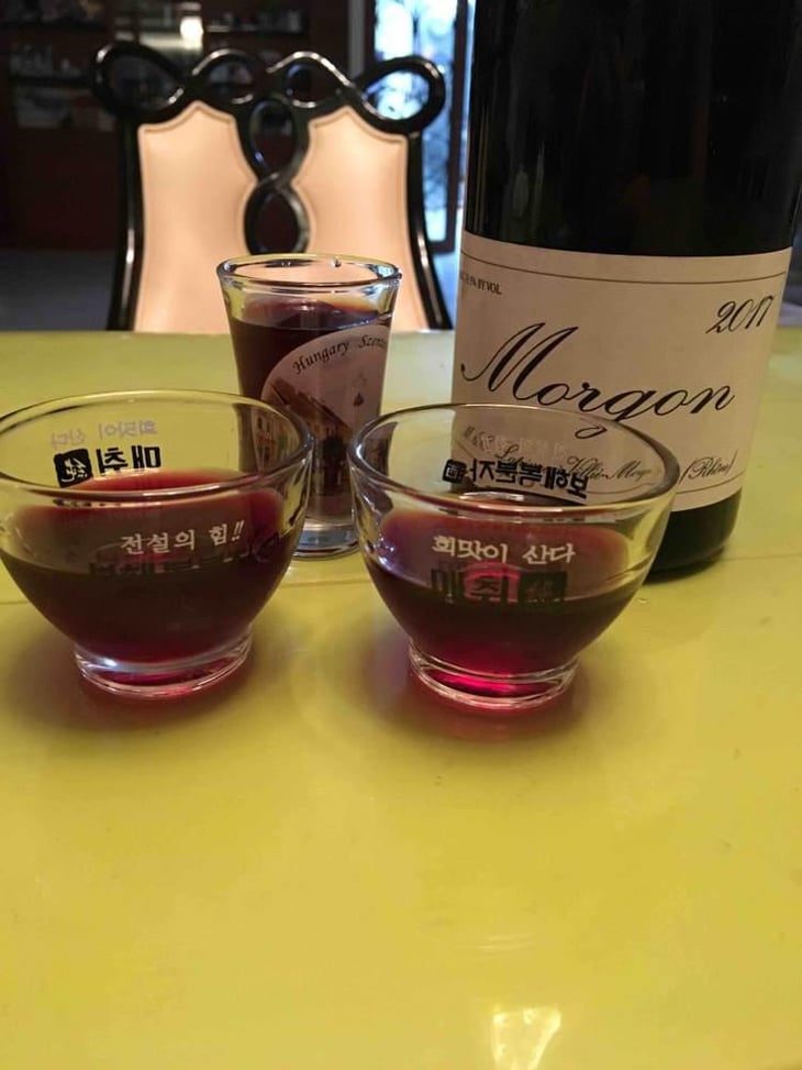 Morgon - Domaine Marcel Lapierre - Mathieu & Camille Lapierre 
