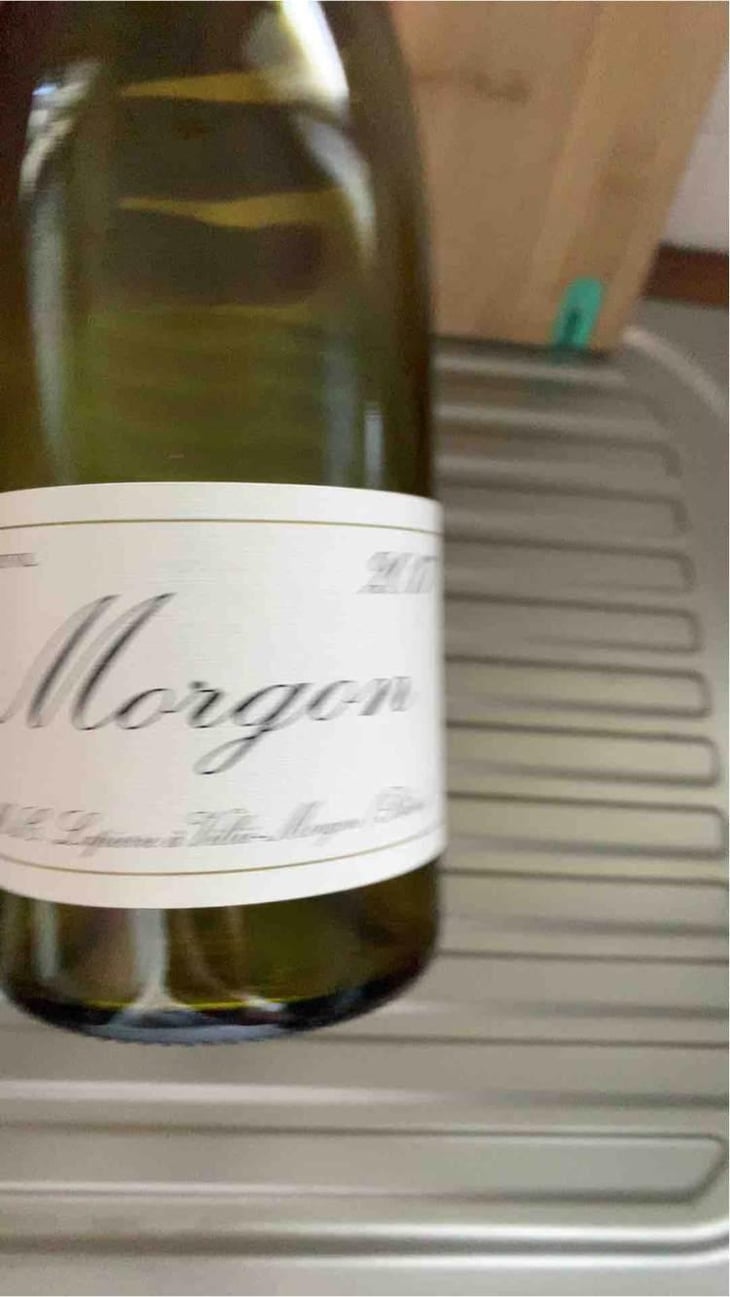 Morgon - Domaine Marcel Lapierre - Mathieu & Camille Lapierre 