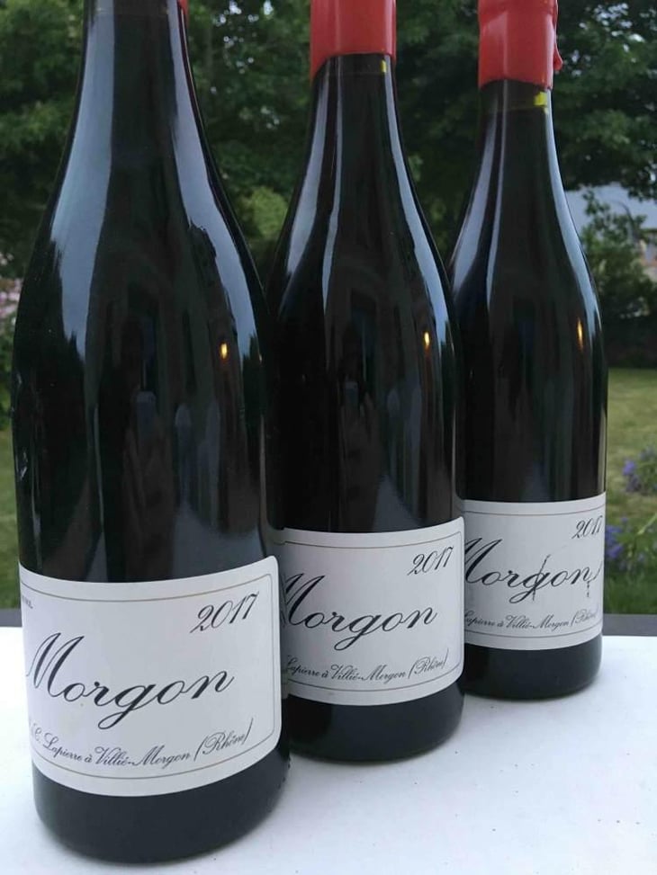 Morgon - Domaine Marcel Lapierre - Mathieu & Camille Lapierre 