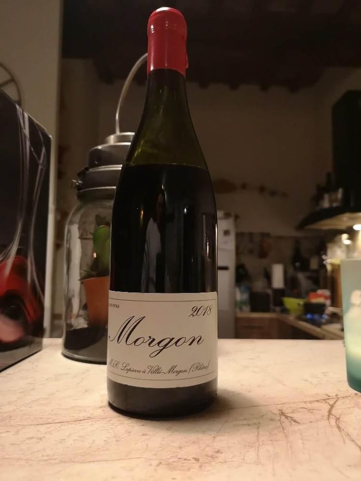Morgon - Domaine Marcel Lapierre - Mathieu & Camille Lapierre 