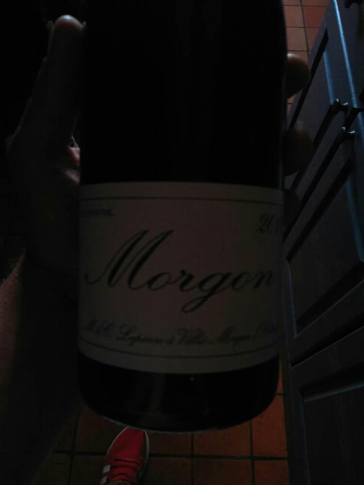 Morgon - Domaine Marcel Lapierre - Mathieu & Camille Lapierre 