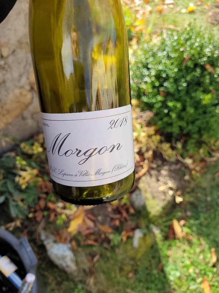 Morgon - Domaine Marcel Lapierre - Mathieu & Camille Lapierre 