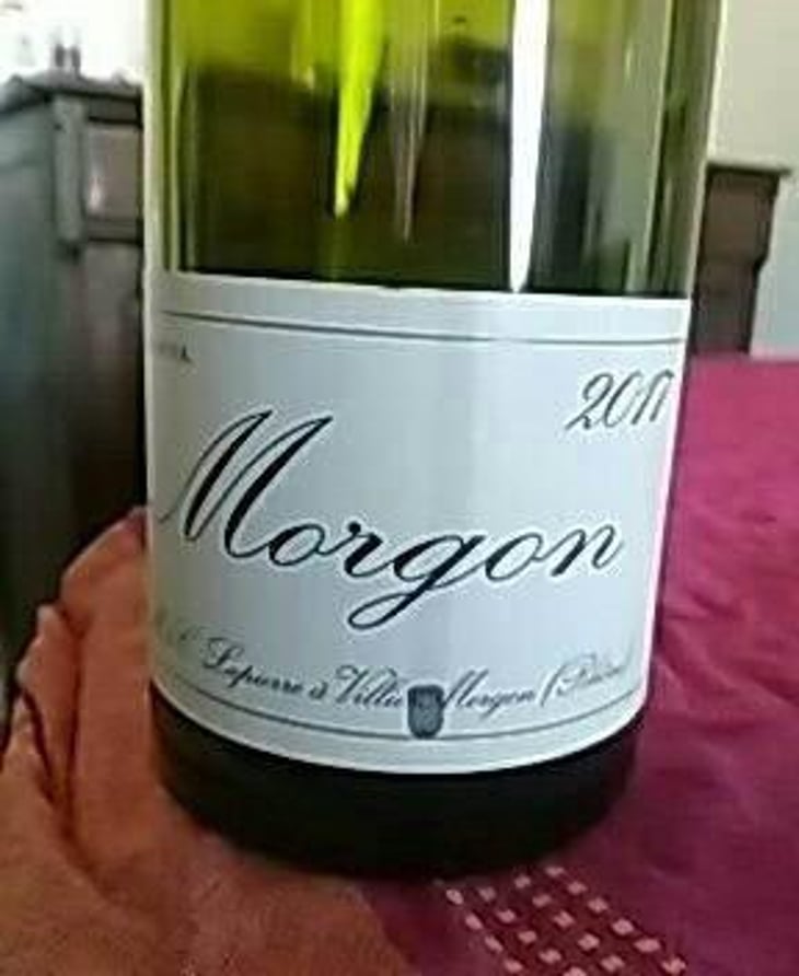 Morgon - Domaine Marcel Lapierre - Mathieu & Camille Lapierre 