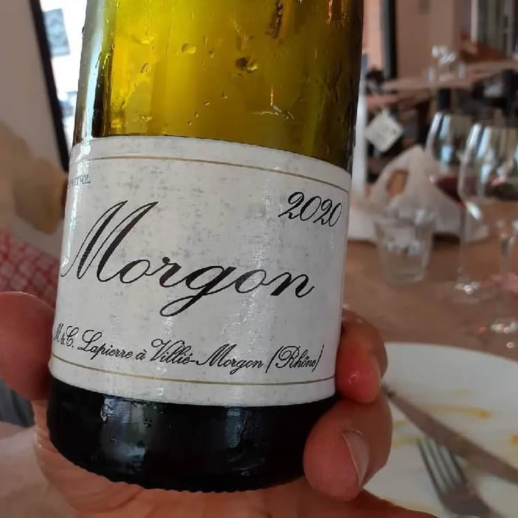 Morgon - Domaine Marcel Lapierre - Mathieu & Camille Lapierre 
