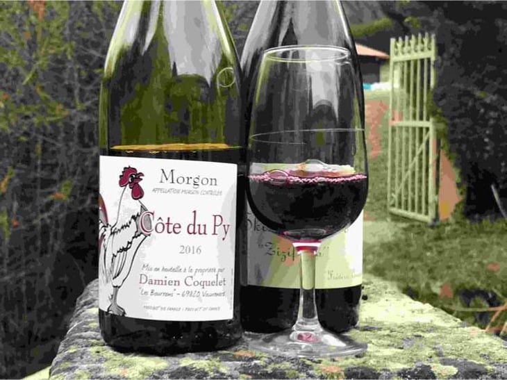 Morgon Côte du Py - Damien Coquelet - Damien Coquelet 
