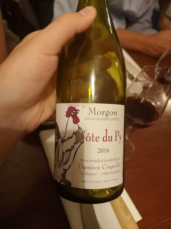 Morgon Côte du Py - Damien Coquelet - Damien Coquelet 