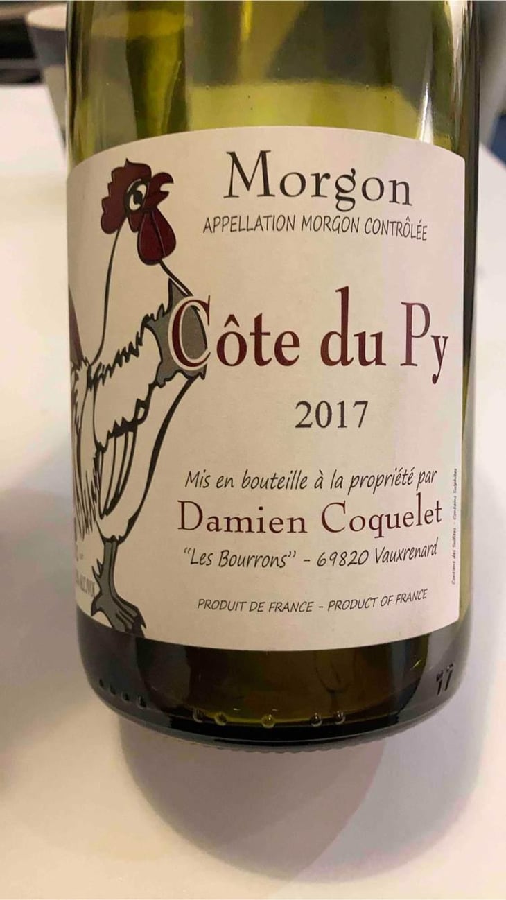 Morgon Côte du Py - Damien Coquelet - Damien Coquelet 