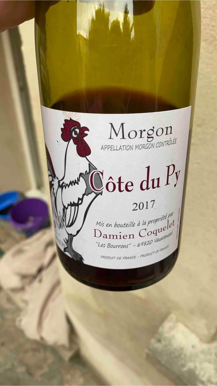 Morgon Côte du Py - Damien Coquelet - Damien Coquelet 