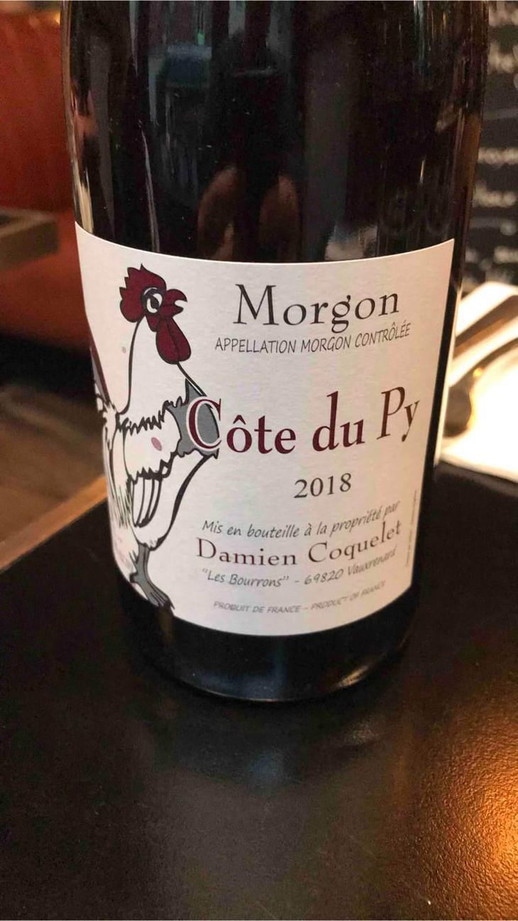 Morgon Côte du Py - Damien Coquelet - Damien Coquelet 