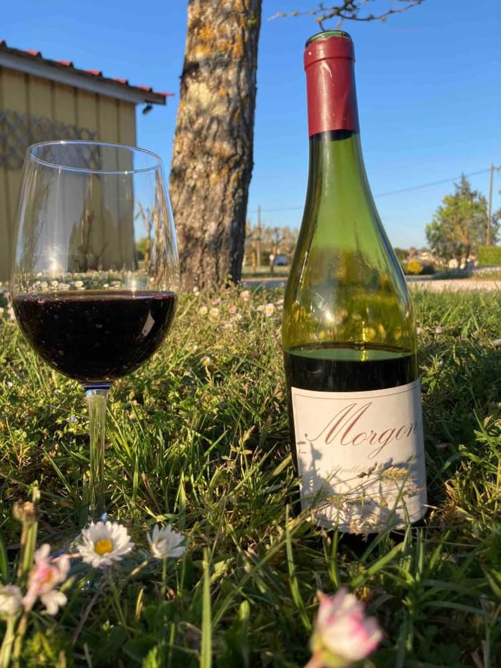 Morgon - Jean Foillard - Jean Foillard 