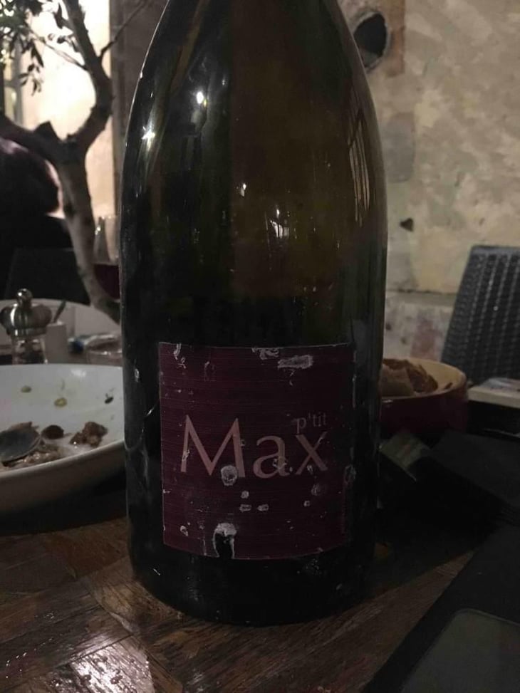 Morgon - Domaine Guy Breton - P'tit Max - Guy Breton 