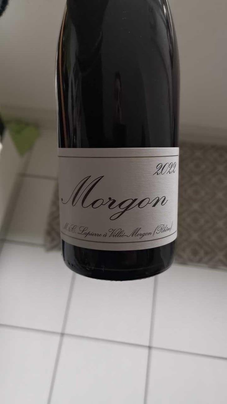 Morgon - Domaine Marcel Lapierre - Mathieu & Camille Lapierre 