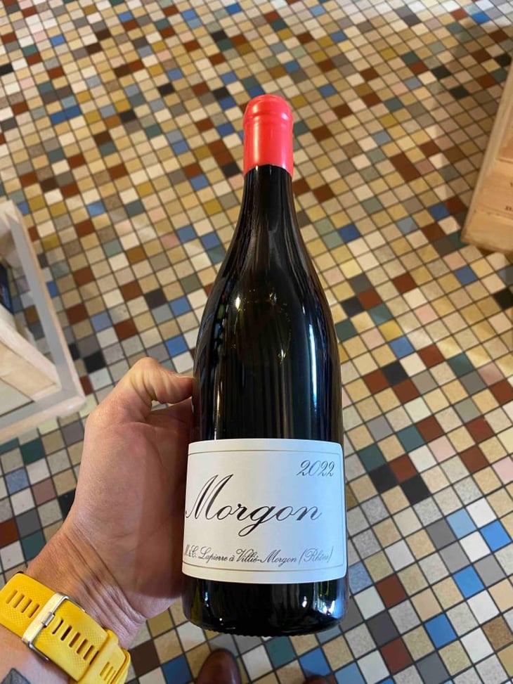 Morgon - Domaine Marcel Lapierre - Mathieu & Camille Lapierre 