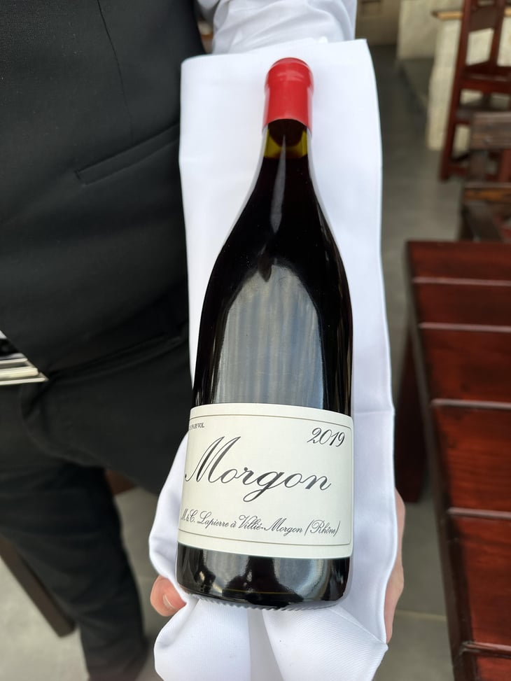 Morgon - Domaine Marcel Lapierre - Mathieu & Camille Lapierre 