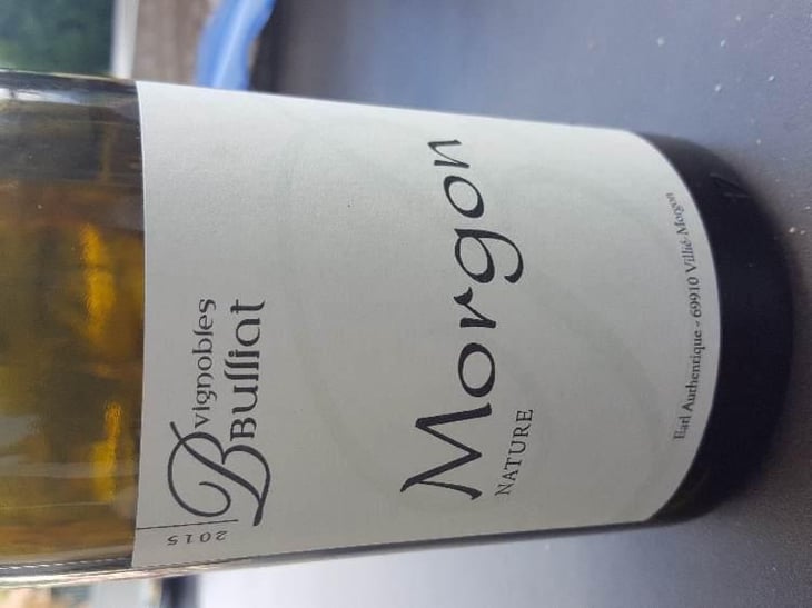 Morgon Nature - Vignobles Bulliat - Loïc & Noël Bulliat 