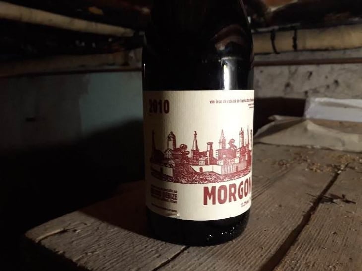 Morgon - Bruno Debize - Bruno Debize 