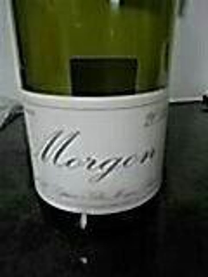 Morgon "Camille" - Domaine Marcel Lapierre - Mathieu & Camille Lapierre 