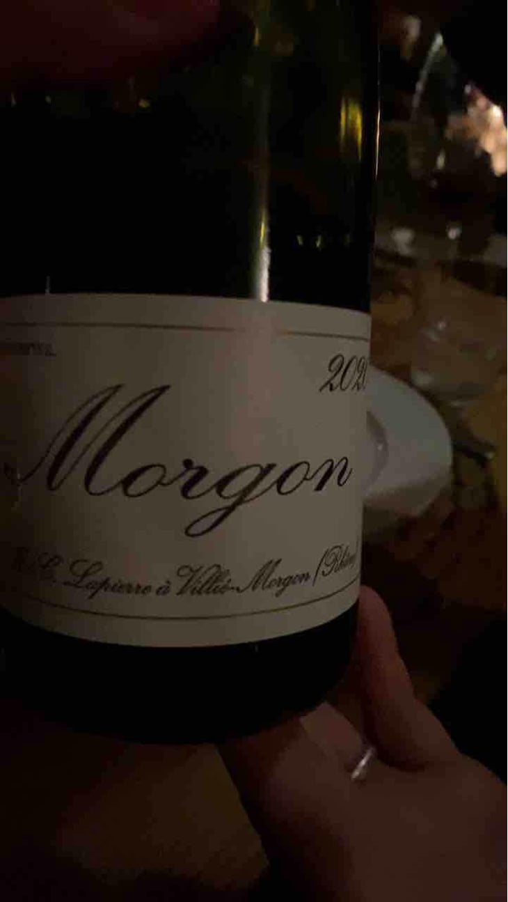 Morgon "Camille" - Domaine Marcel Lapierre - Mathieu & Camille Lapierre 
