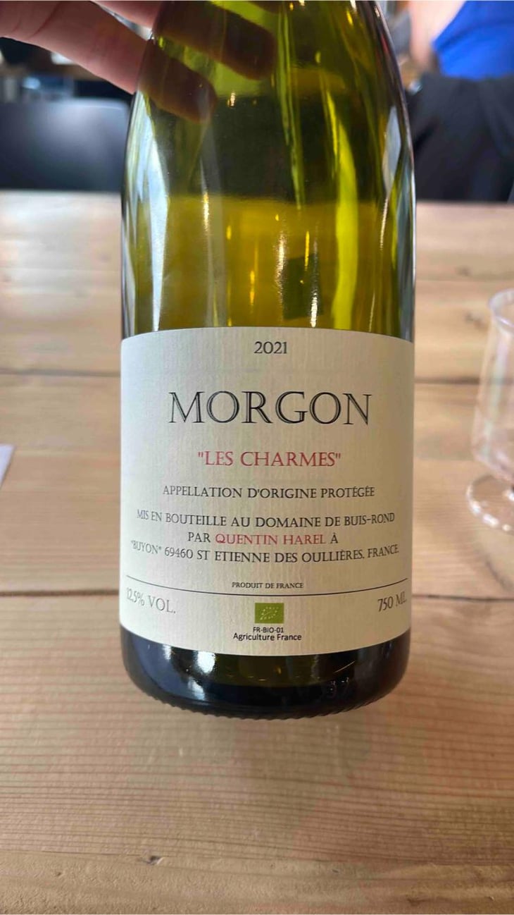 Morgon - Domaine Marcel Lapierre - Mathieu & Camille Lapierre 
