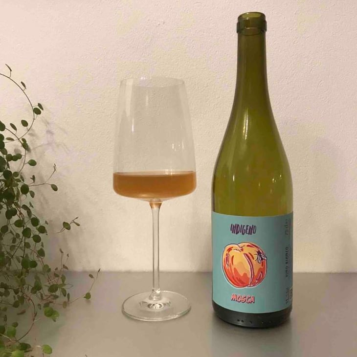 Mosca - Cantina Indigeno (TEMPORARILY CLOSED) - Alfredo Giugno, Loreto Lamolinara, Nicola Reginaldi -2020