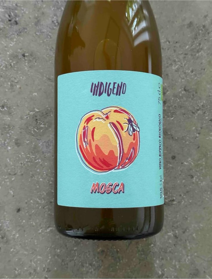 Mosca - Cantina Indigeno (TEMPORARILY CLOSED) - Alfredo Giugno, Loreto Lamolinara, Nicola Reginaldi -2020