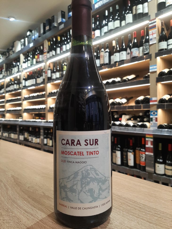 MOSCATEL TINTO - Cara Sur - Sebastián Zuccardi, Marcela Manini, Nuria Año Gargiulo and Pancho Burgallo, 