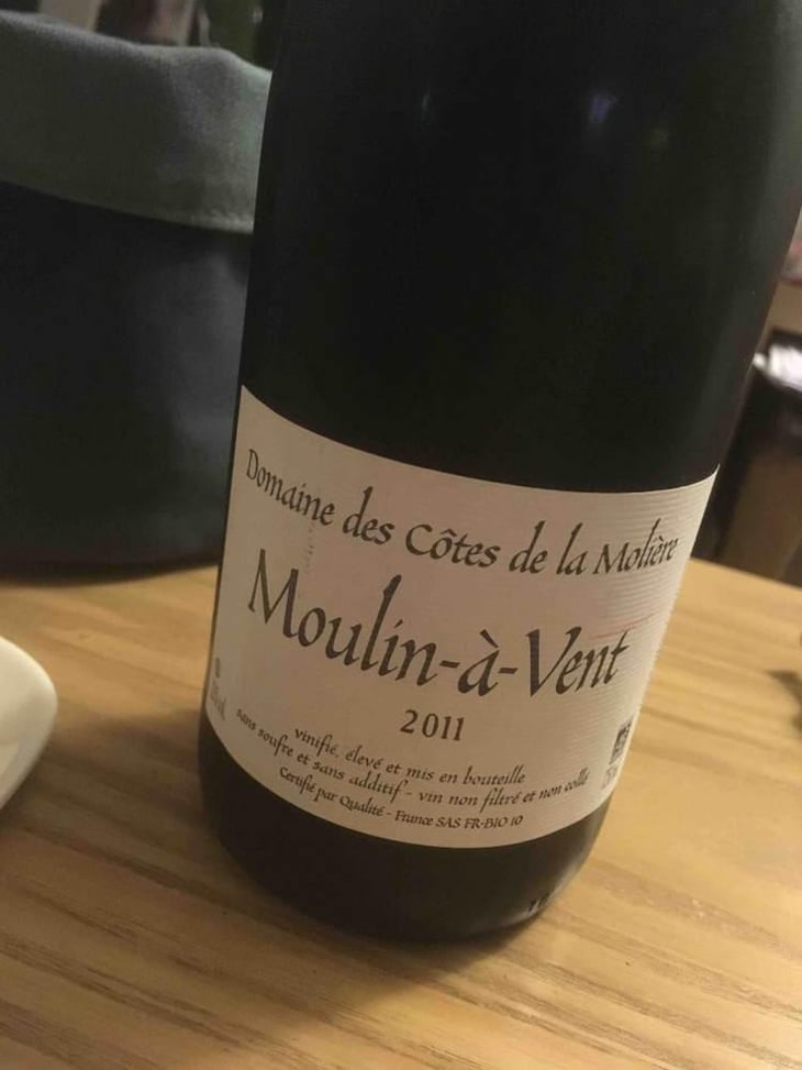 Moulin à Vent - Côtes de la Molière - Isabelle & Bruno Perraud 