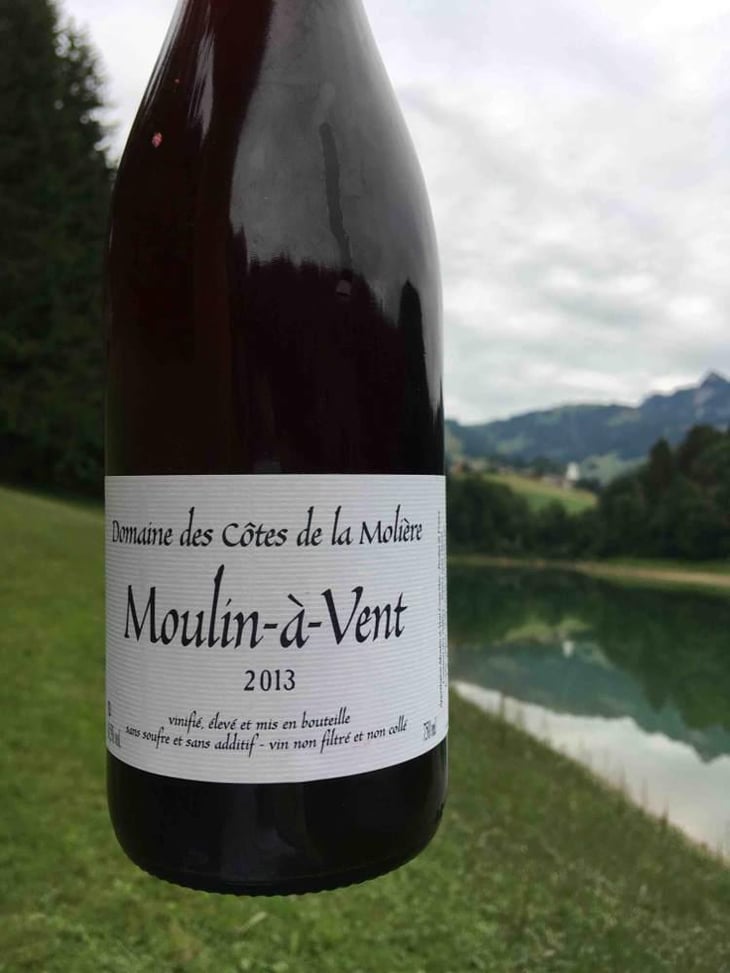 Moulin à Vent - Côtes de la Molière - Isabelle & Bruno Perraud 