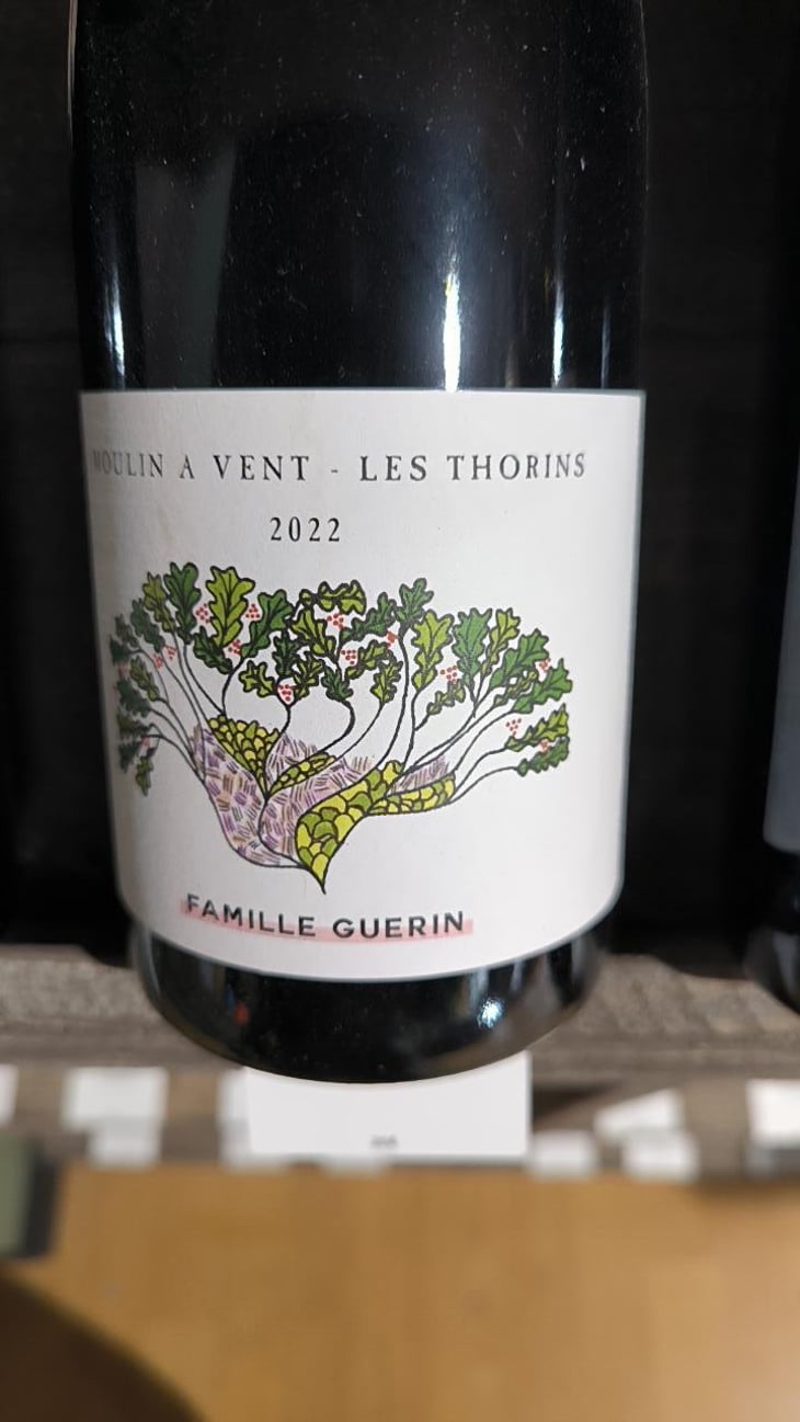 Moulin À Vent - Les Thorins - Famille Guerin - Elisa Guerin Vins - Famille Guerin 