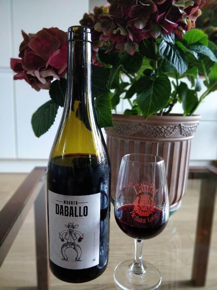 Mounto Daballo - Domaine des Amiel - Aymeric & Jordan Amiel 