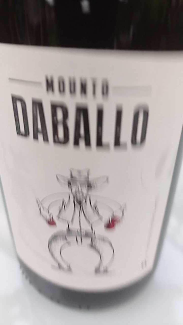 Mounto Daballo - Domaine des Amiel - Aymeric & Jordan Amiel 