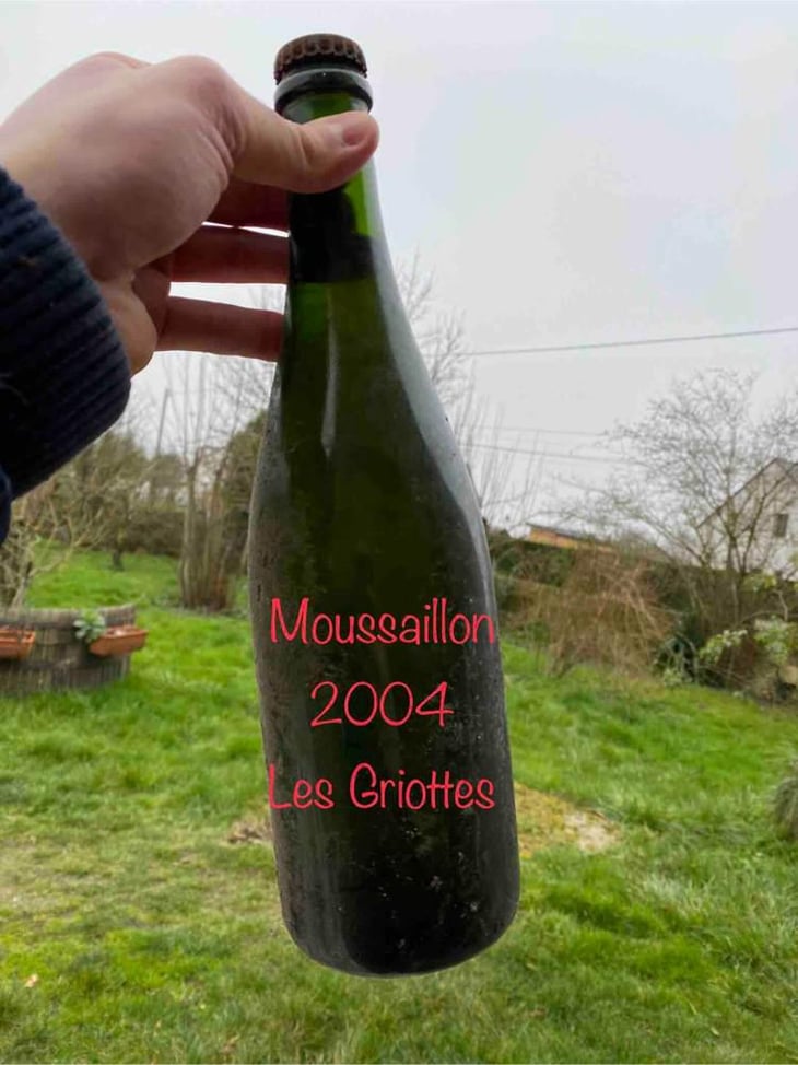 Moussaillon - Domaine des Griottes - Patrick Desplats 