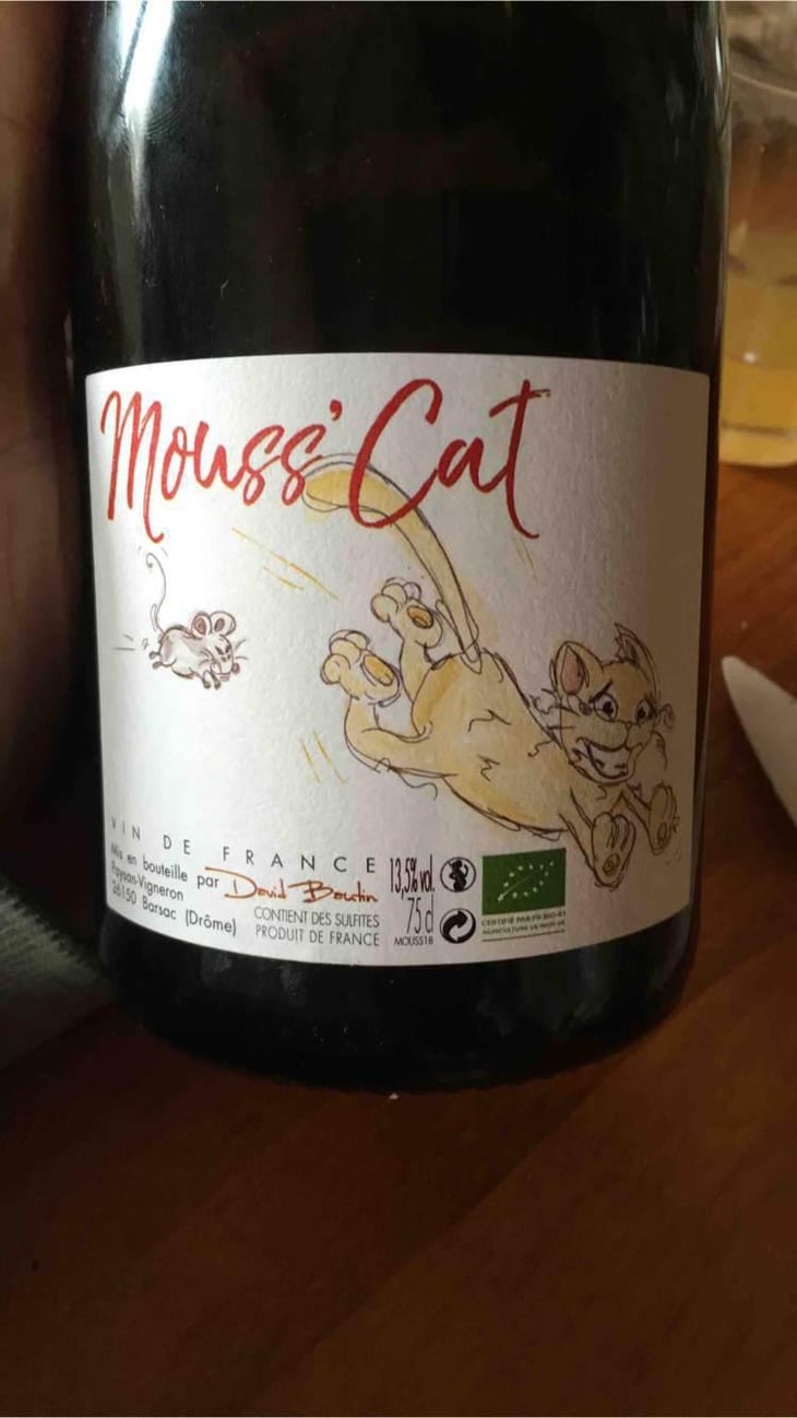 Mouss’Cat - David Bautin - David Bautin 