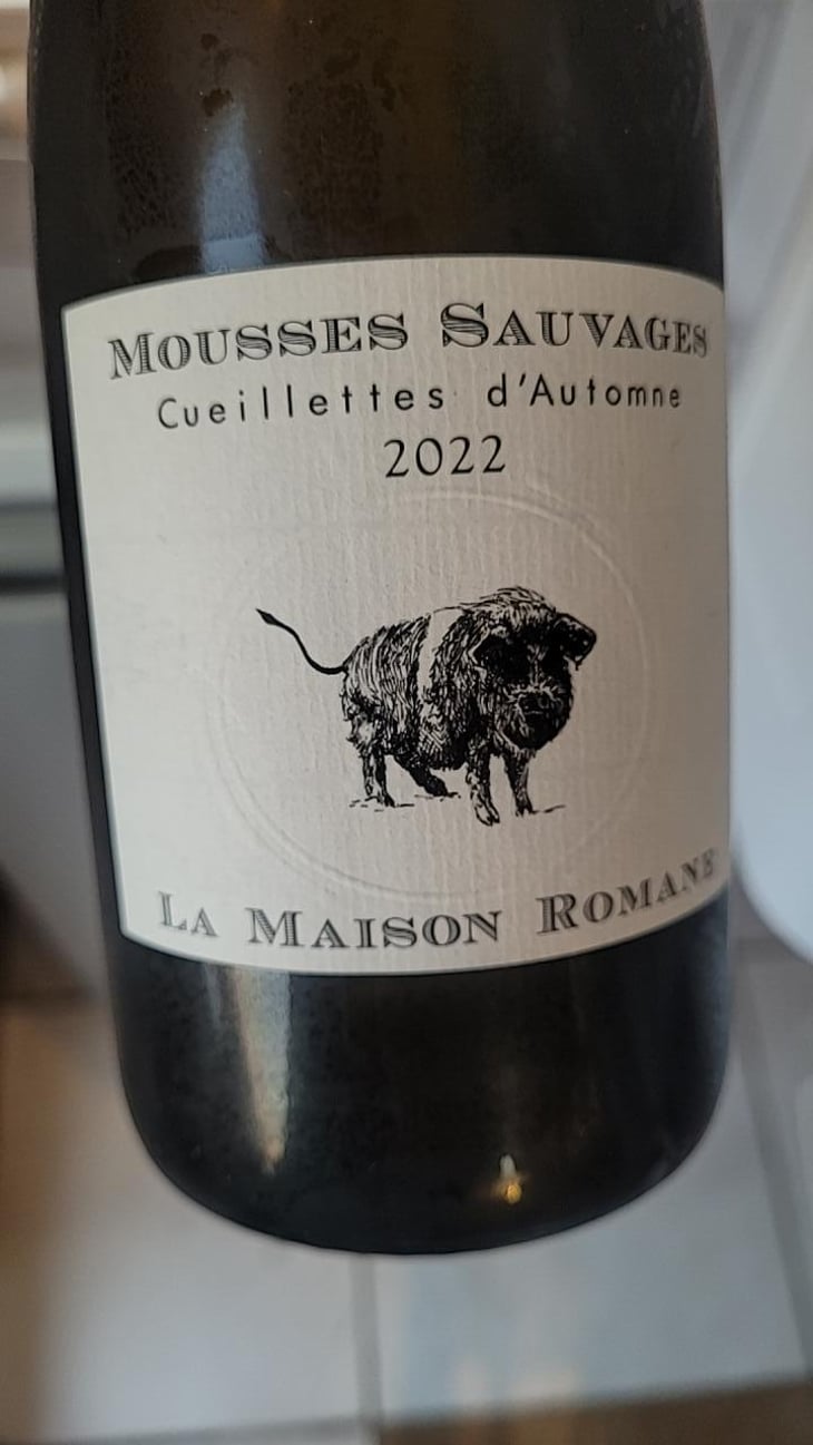 Mousses Sauvages "Aligoté"" - La Maison Romane - Victorine & Oronce de Beler -2021