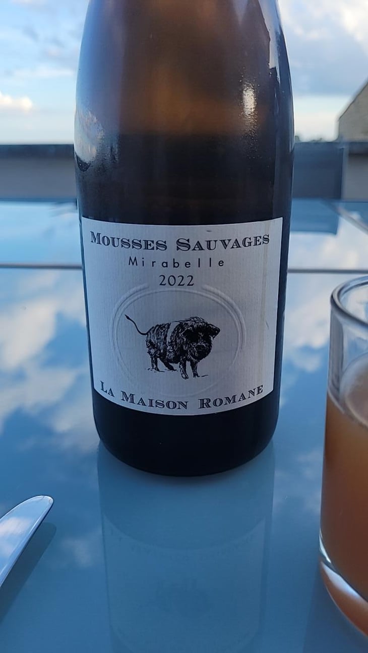 Mousses Sauvages Mirabelle - La Maison Romane - Victorine & Oronce de Beler 