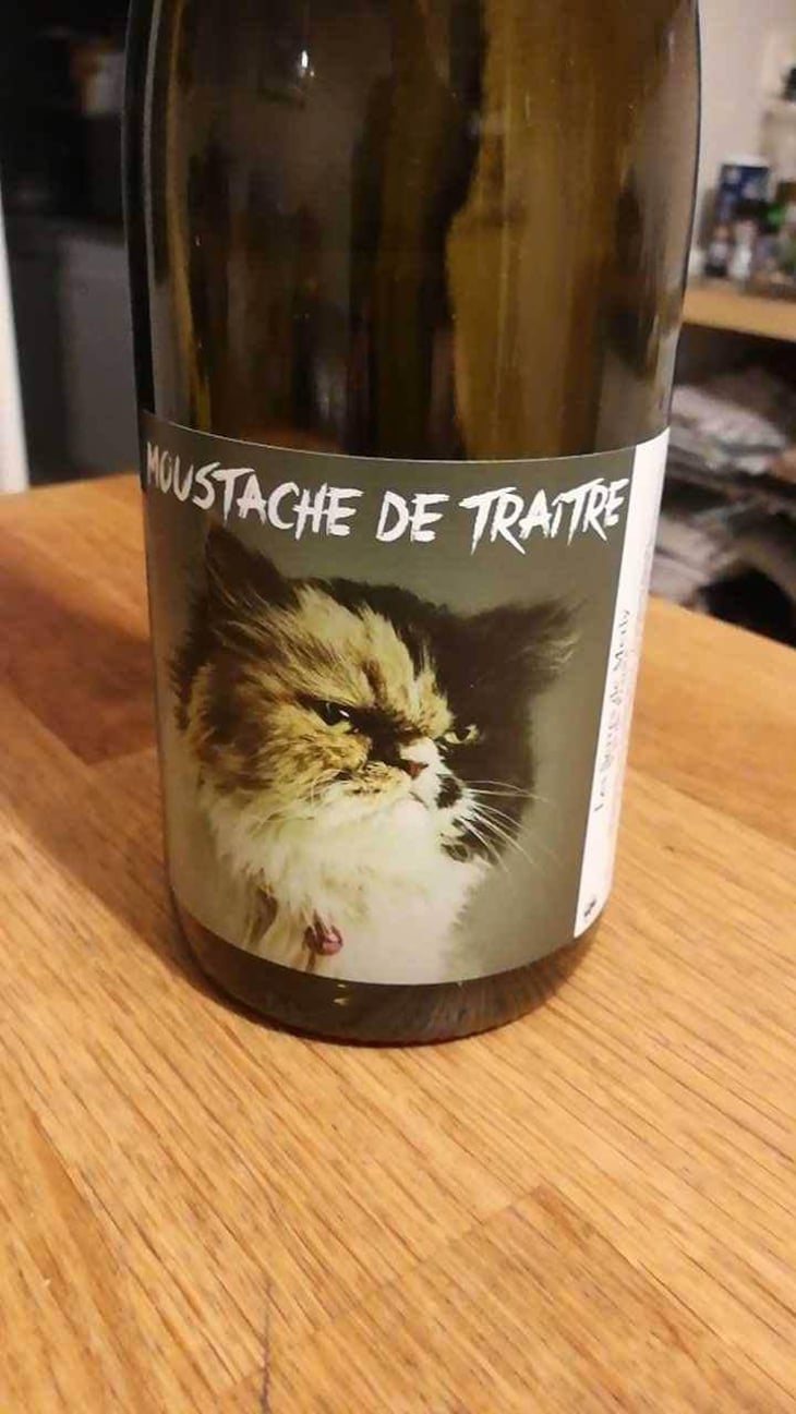 Moustache De Traitre - Domaine Meïgoon - Saharnaz Ahangi et Gauthier Ollivier 